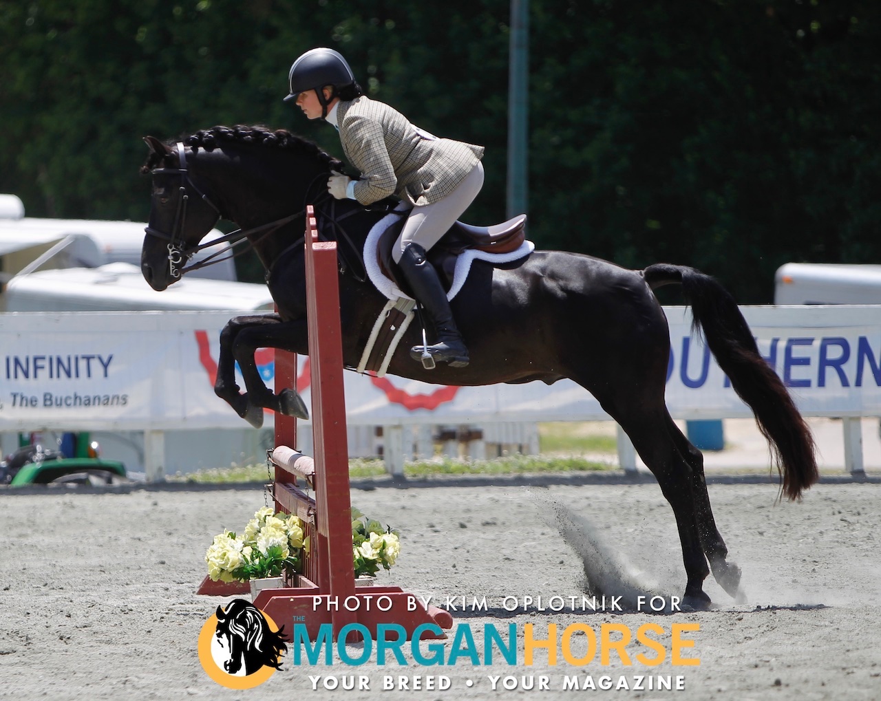 Banners in the Sport Horse Arena